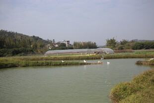 河畔自然风光景色