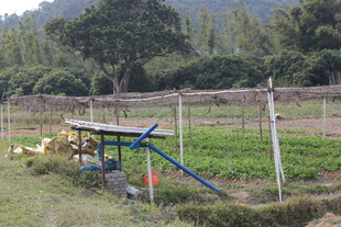 田园中的简易农用器械