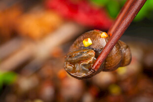 筷子夹起的美味田螺