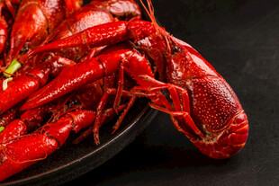 美味小龙虾特写