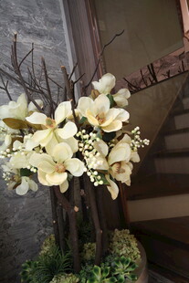 室内雅致玉兰花瓶插花