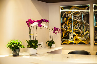 室内雅致花卉装饰场景