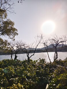 湖畔阳光映景