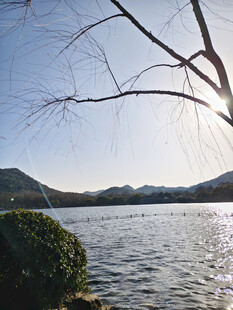 湖畔枯树与远山湖景