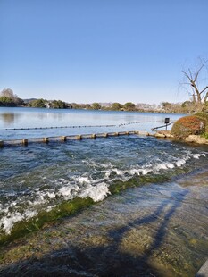 湖畔波光粼粼