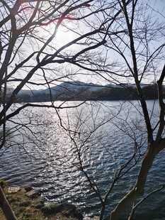冬日西湖波光粼粼