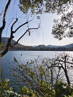 西湖畔美景