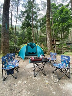 森林中的露营惬意场景