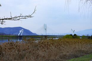龙岗大桥