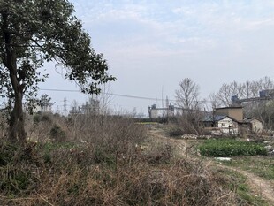 乡村野外风景