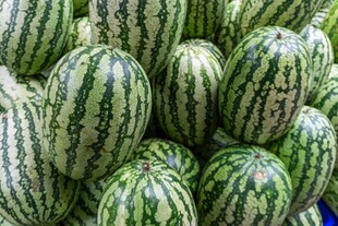 新鲜饱满的西瓜堆叠