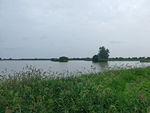 潜江返湾湖湿地公园