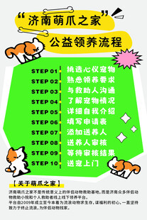 流浪明星之爱公益领养活动