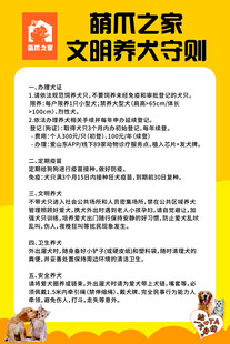 文明养犬守则