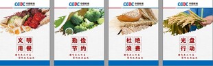 多样美味食材展示