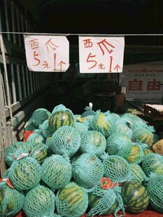 西瓜售卖价格醒目