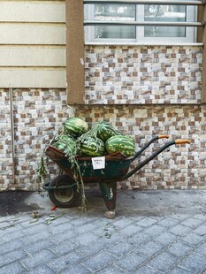 庭院中的绿植手推车