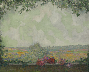 田园风景中的绚烂花丛