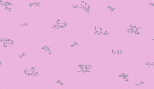 粉色背景的简约飞鸟图案