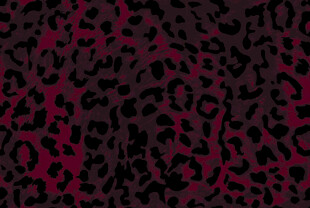 玫红色豹纹图案纹理