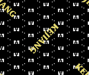 黑色背景上的瑞士元素图案