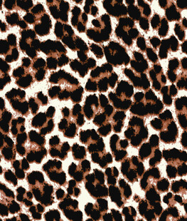 豹纹图案纹理