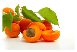 新鲜诱人的成熟杏子