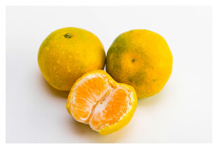 新鲜黄橘一个已剥开