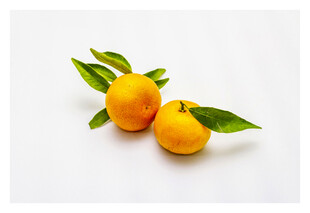 两个带叶鲜橙