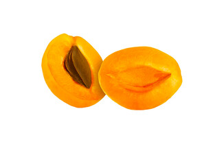 两个鲜美的杏子插画