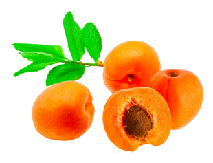 新鲜黄杏饱满多汁诱人