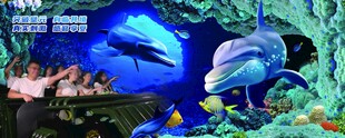 海底世界的梦幻海豚景观