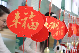 喜庆红灯笼迎新春