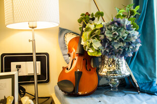 小提琴旁的花卉艺术摆设