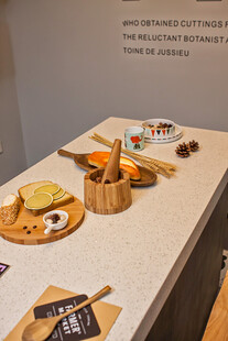 精致多样的美味芝士拼盘