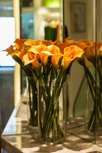 鲜艳黄马蹄莲插于瓶中