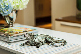 蜥蜴摆件置于室内书堆旁
