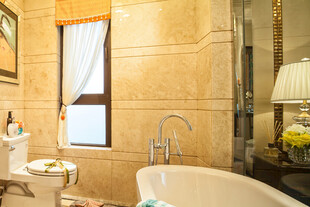 豪华浴室优雅设计展示