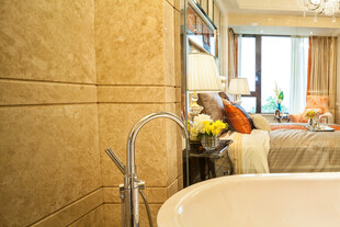 豪华浴室与卧室相连景致