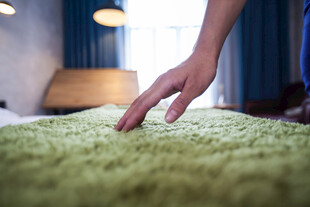 手触柔软绿色地毯