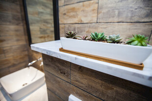 现代风浴室绿植洗手台设计