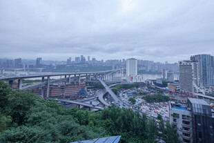城市远景与繁茂绿植景观