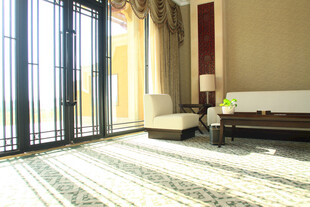 阳光洒入的温馨室内空间