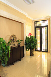 优雅客厅一角绿植装饰