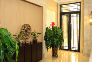 优雅玄关绿植装饰景观