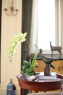 精致家居角落的绿植摆件