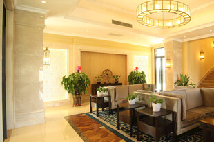 豪华客厅室内装饰展示