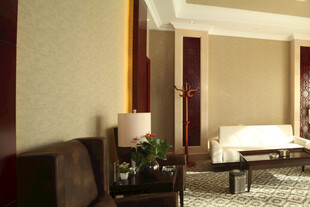 豪华客厅室内优雅场景