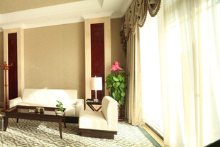 温馨典雅的室内客厅场景