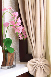 窗边兰花与雅致窗帘